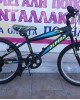 20" MTB Alpina Alpha 7v 20" MTB Alpina Alpha 7v