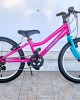 20" Clermont Magusta 6v