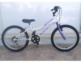 20" MTB Orient Comfort 6v