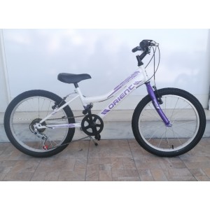 20" MTB Orient Comfort 6v