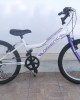 20" MTB Orient Comfort 6v
