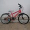 20" BMX Trail Racer