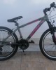 24" Alpina Alpha Alloy