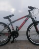24" Alpina Alpha Alloy