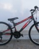 24" Orient Excel