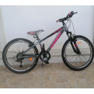 24" Carrera M4 2000 V-BR