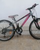 24" Carrera M4 2000 V-BR