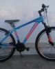 24" Motion Umit Alloy