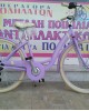 26'' Adriatica Panda