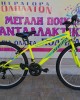 26" Alpina Alpha Eco