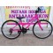 26" Clermont Magusta Eco