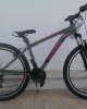 27.5" Alpina Alpha Alloy