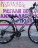 27.5" Alpina Alpha