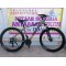 27.5" Ideal Freeder MDisc