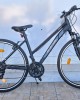 28″ Ideal Moovic