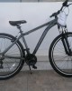 29" Alpina XCMR Alloy