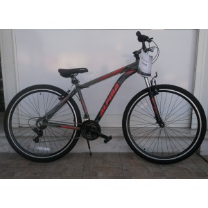 29" Alpina XCMR Alloy