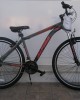 29" Alpina XCMR Alloy