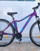 29" DHS Terrana 2922 Alloy