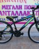 24" Alpina Alpha Eco