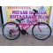 24" Alpina Alpha Shimano Γυναικείο