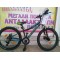 24" Ideal Strobe Disc
