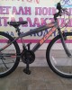 26" Boss eco