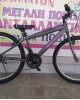 24″ Boss eco