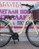 26'' Alpina City