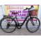 26'' Alpina City