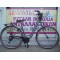 28" Carrera CTB 7v