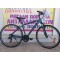 28" Ideal Nergetic Trekking