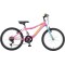20" MTB Polar Booster Plasma