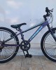 24" Carrera Junior v-br