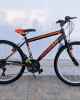 24'' Hogan Bright 24'' Hogan Bright