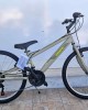 24" Orient Excel