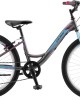 24" Polar Modesty 24" Polar Modesty