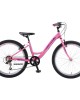 24" Polar Modesty 24" Polar Modesty