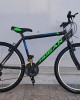 24'' Hogan Bright 24'' Hogan Bright