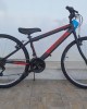 26" Clermont Freeland Shimano