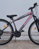 27.5" Alpina Alpha