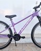 27.5" Ballistic Hermes
