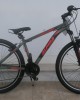 27.5" Alpina Alpha Alloy