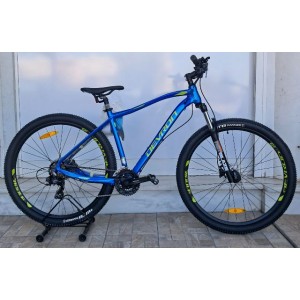 29" DHS Riddle M0.9 Alloy