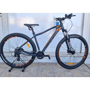 29" DHS Riddle M0.9 Alloy