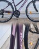 28″ Ideal Moovic (MY26)
