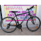 28″ Ideal Moovic